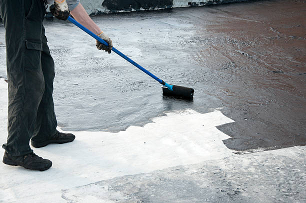 Best Custom Concrete Contractor  in Maysville, KY